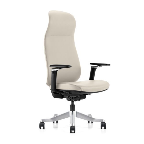 Astra Chair